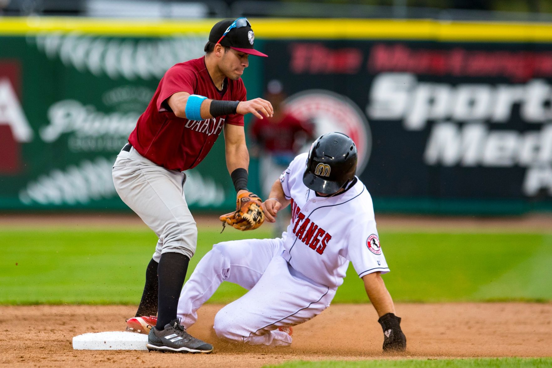 Mustangs vs. Chukars
